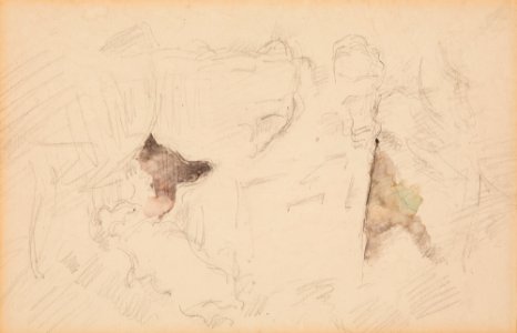 Cézanne - FWN 1234