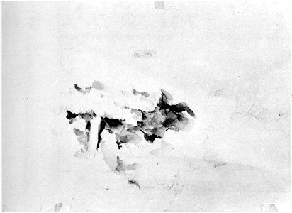 Cézanne - FWN 1214-TA