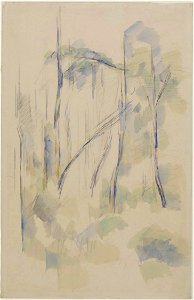 Cézanne - FWN 1220