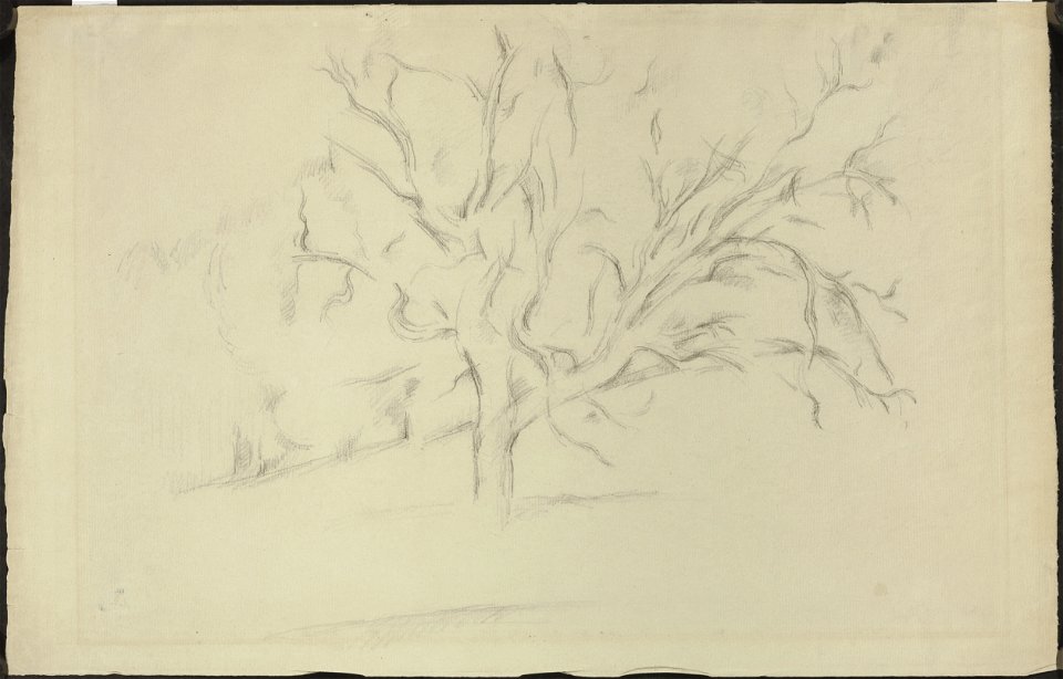 Cézanne - FWN 1418