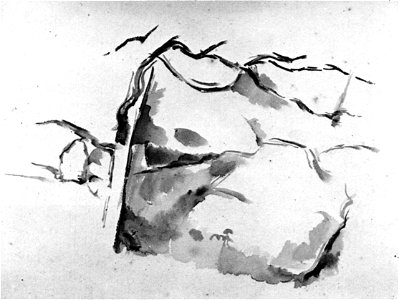 Cézanne - FWN 1432-TA