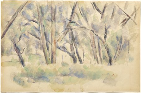 Cézanne - FWN 1284