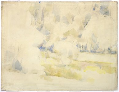 Cézanne - FWN 1327