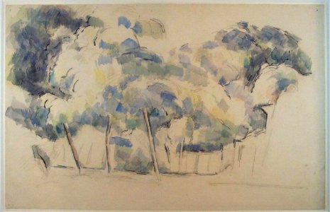 Cézanne - FWN 1310