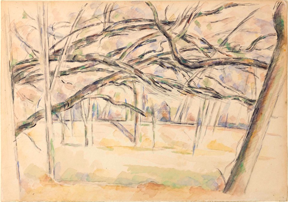 Cézanne - FWN 1352