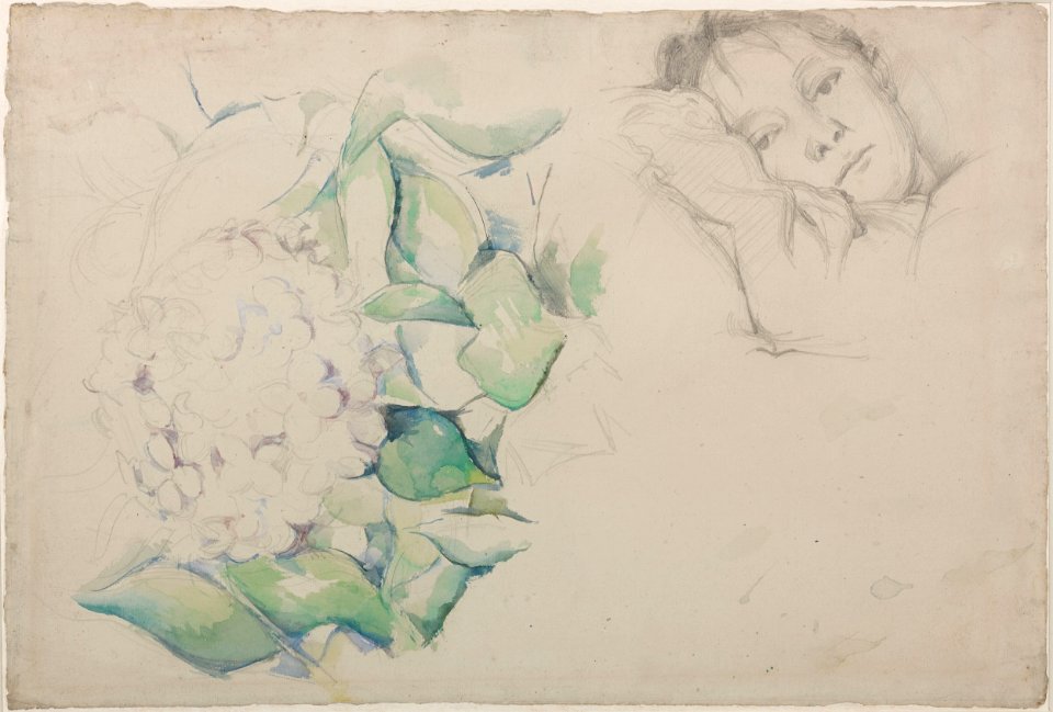 Cézanne - FWN 1743