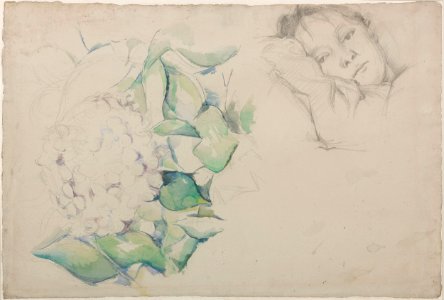Cézanne - FWN 1743