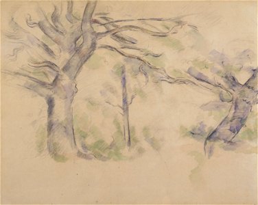 Cézanne - FWN 1493