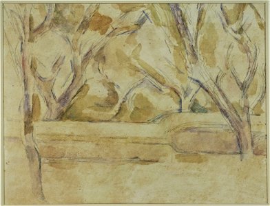 Cézanne - FWN 1490