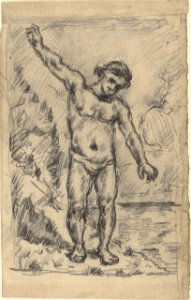 Cézanne - FWN 2012