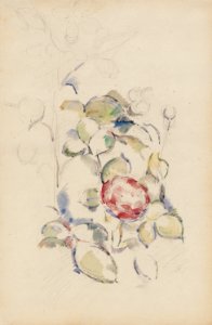 Cézanne - FWN 1916