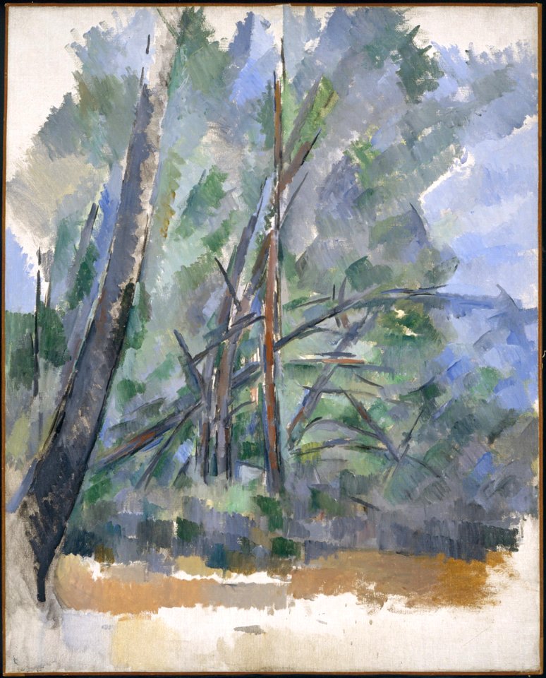 Cézanne - FWN 329