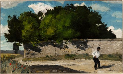 Cézanne - FWN 47