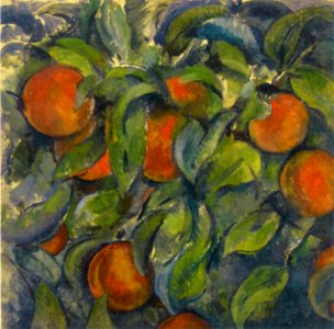 Cézanne - FWN 816