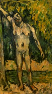 Cézanne - FWN 910