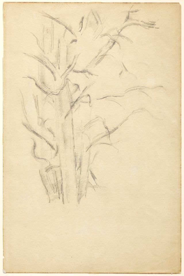 Cézanne, Paul, Study of Trees, 1886-88