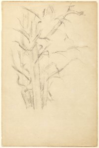 Cézanne, Paul, Study of Trees, 1886-88