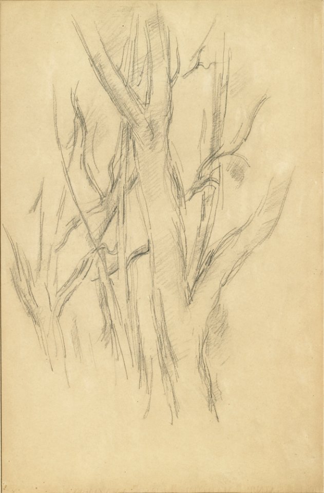 Cézanne, Paul, Trees, ca. 1891