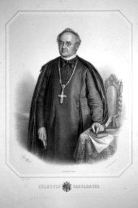 Cölestin Josef Ganglbauer Litho