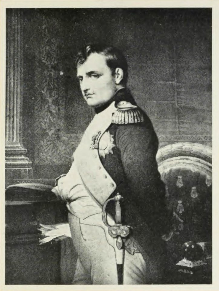 D. M. Mereżkowski - Napoleon p319