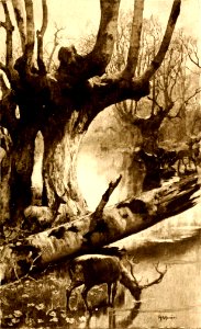 D'Annunzio - Isaotta Guttadauro, 1886 (page 139 crop)