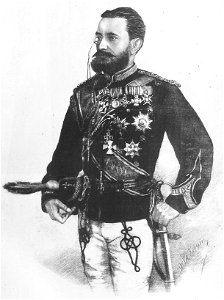 D. William - Théodore Vacaresco - Maréchal de la Cour de S.M. le Roi