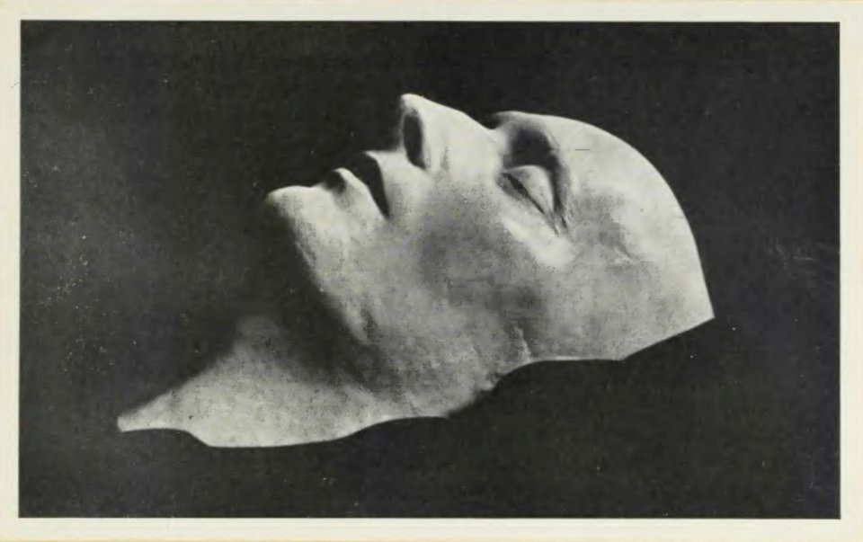 D. M. Mereżkowski - Napoleon p249