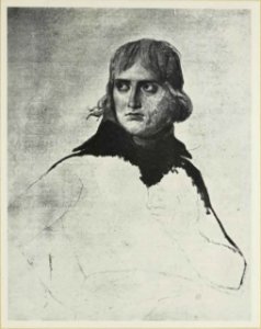 D. M. Mereżkowski - Napoleon p031