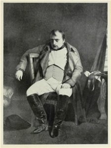 D. M. Mereżkowski - Napoleon p181