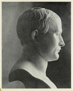 D. M. Mereżkowski - Napoleon p335