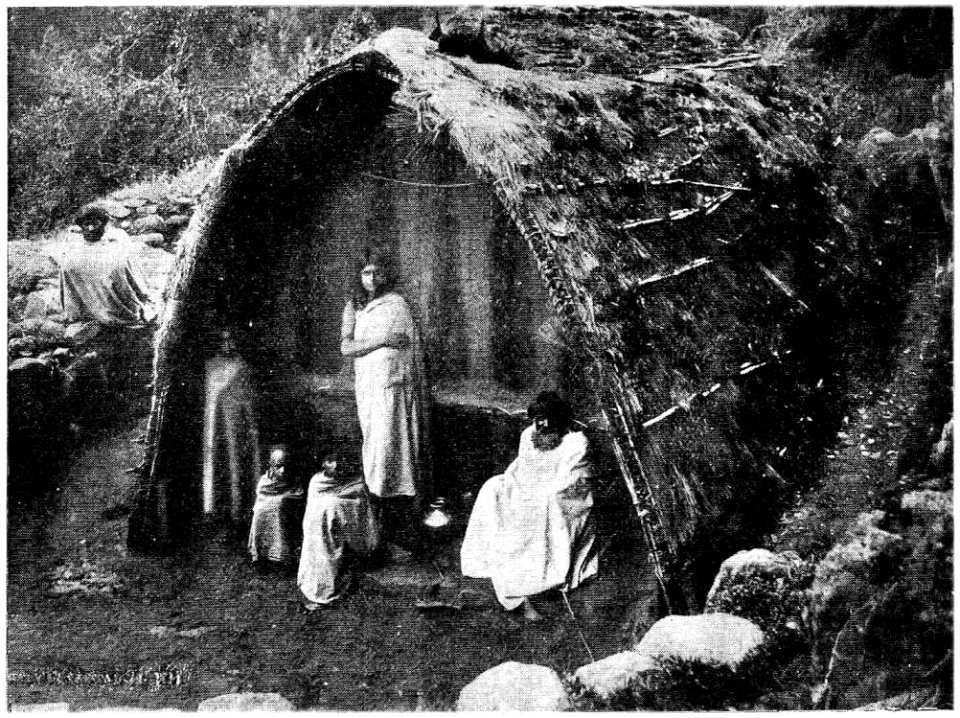 D133- hutte de toda, montagnes bleues -liv2-ch12
