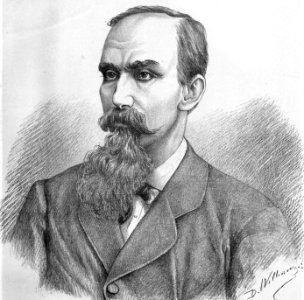 D. William - Theodor Rosetti