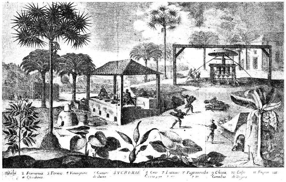 D072- une sucrerie à saint-domingue - Liv3-Ch16