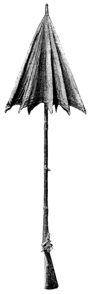 D136- fusil-parapluie de garde national - Liv3-Ch18