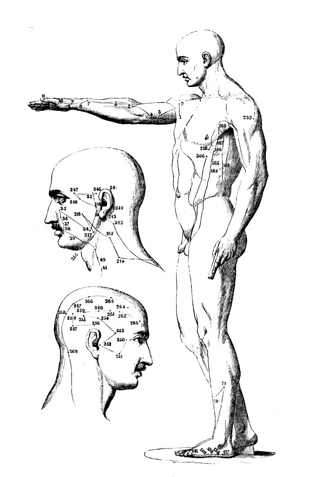 Dabry 1863 a1