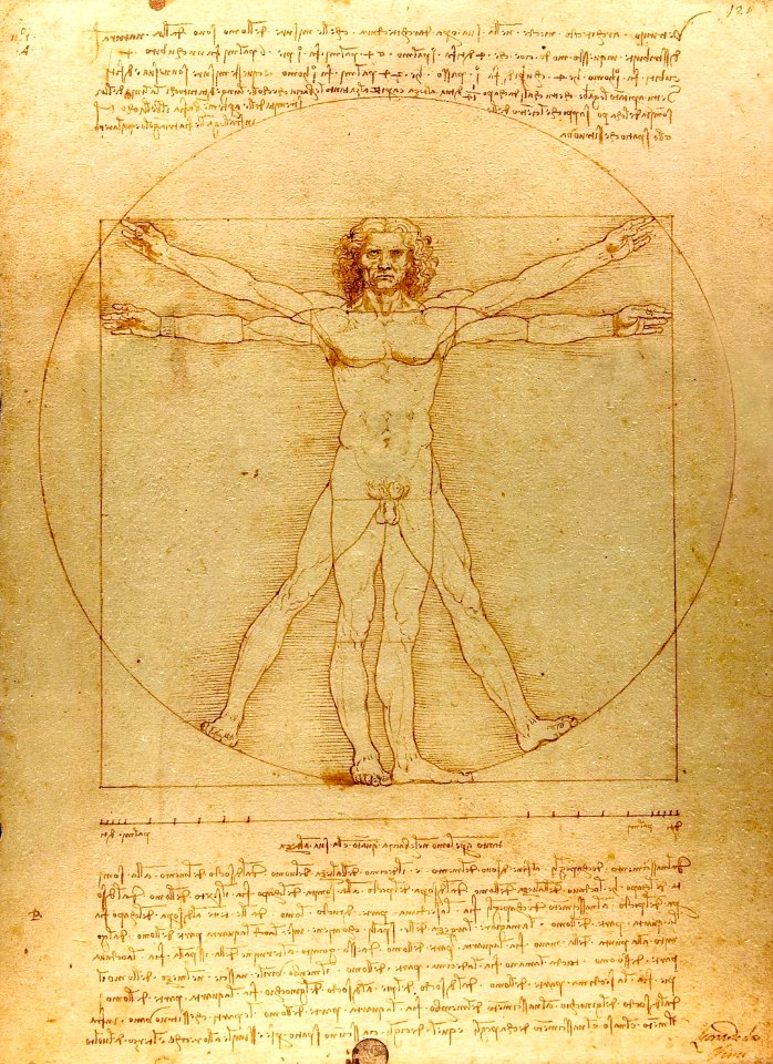 Da Vinci Vitruve Luc Viatour (cropped)
