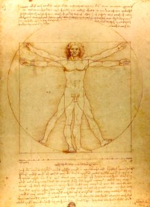 Da Vinci Vitruve Luc Viatour (cropped)