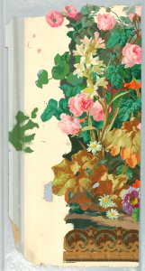 Dado, Jardin d'Hiver (Serre Chaude), 1851–55 (CH 18402511-2)
