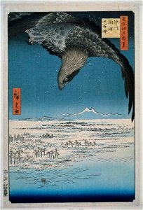 De Jumantsubo vlakte te Susaki bij Fukagawa
