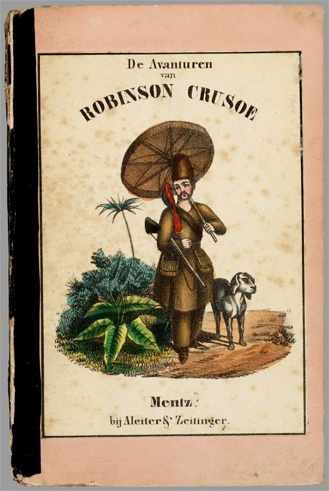 De lotgevallen van Robinson Crusoe - PPN 040553884 - Image 1