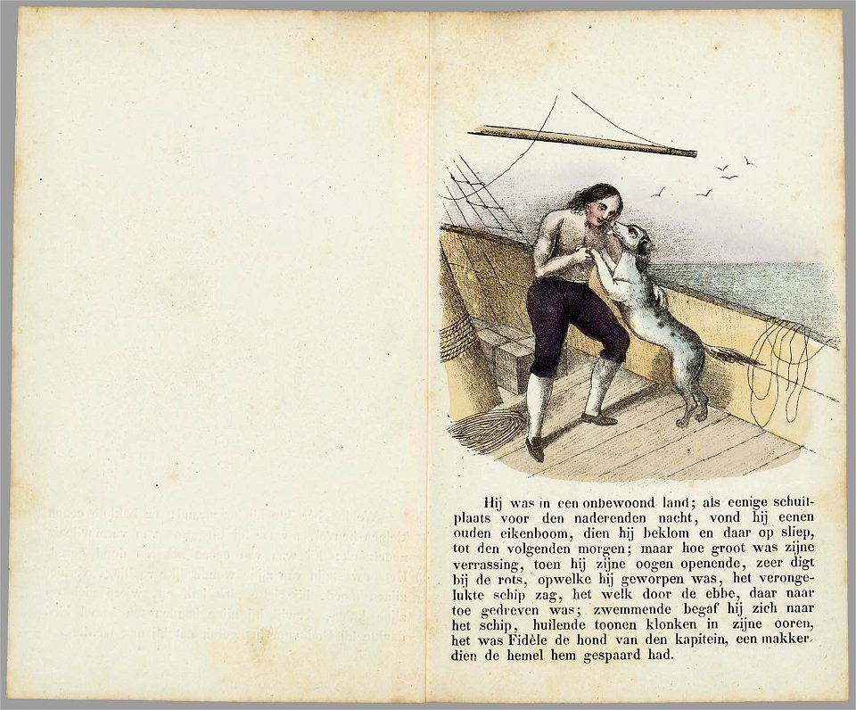 De lotgevallen van Robinson Crusoe - PPN 040553884 - Image 7
