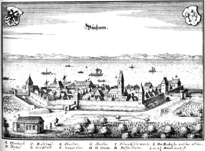 De Merian Sueviae 047-Buchhorn