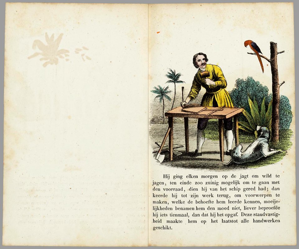 De lotgevallen van Robinson Crusoe - PPN 040553884 - Image 10