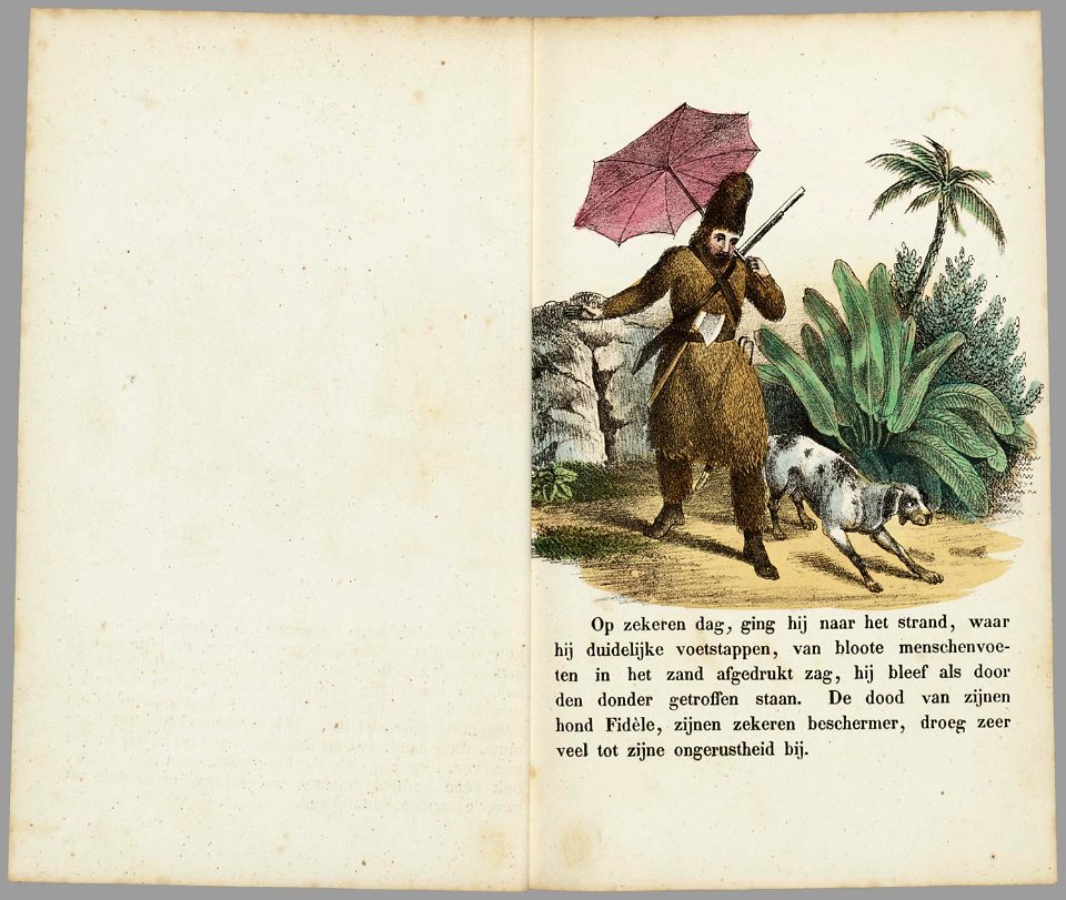 De lotgevallen van Robinson Crusoe - PPN 040553884 - Image 16