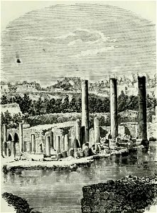 De Madrid a Nápoles (1878) (page 135 crop)