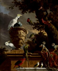 De menagerie, Melchior d' Hondecoeter, ca. 1690 - Rijksmuseum. Free illustration for personal and commercial use.