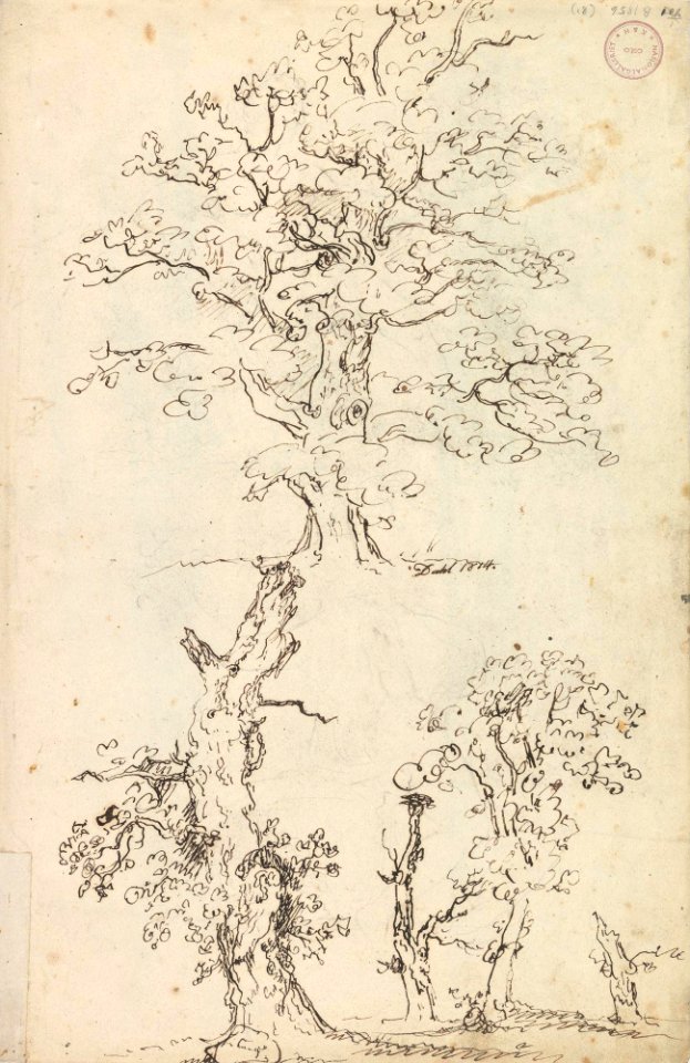 Johan Christian Dahl - Studies of trees - Trestudier - Nasjonalmuseet - NG.K&H.B.01856
