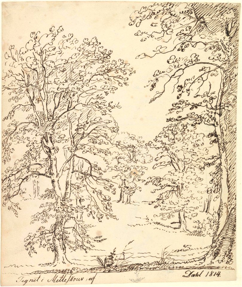 Johan Christian Dahl - Fra Metteskov - Nasjonalmuseet - NG.K&H.B.01852