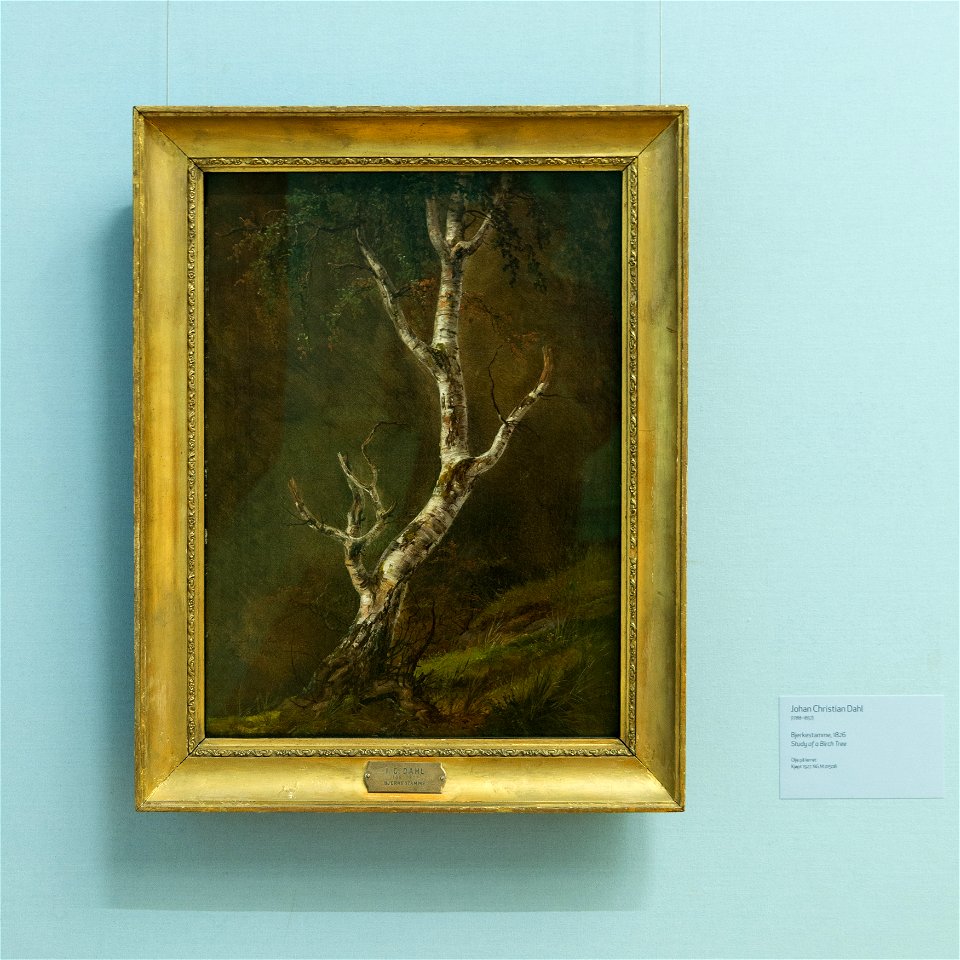 Study of a Birch Tree - Bjerkestamme - Johan Christian Dahl - IMG 9805- national gallery oslo
