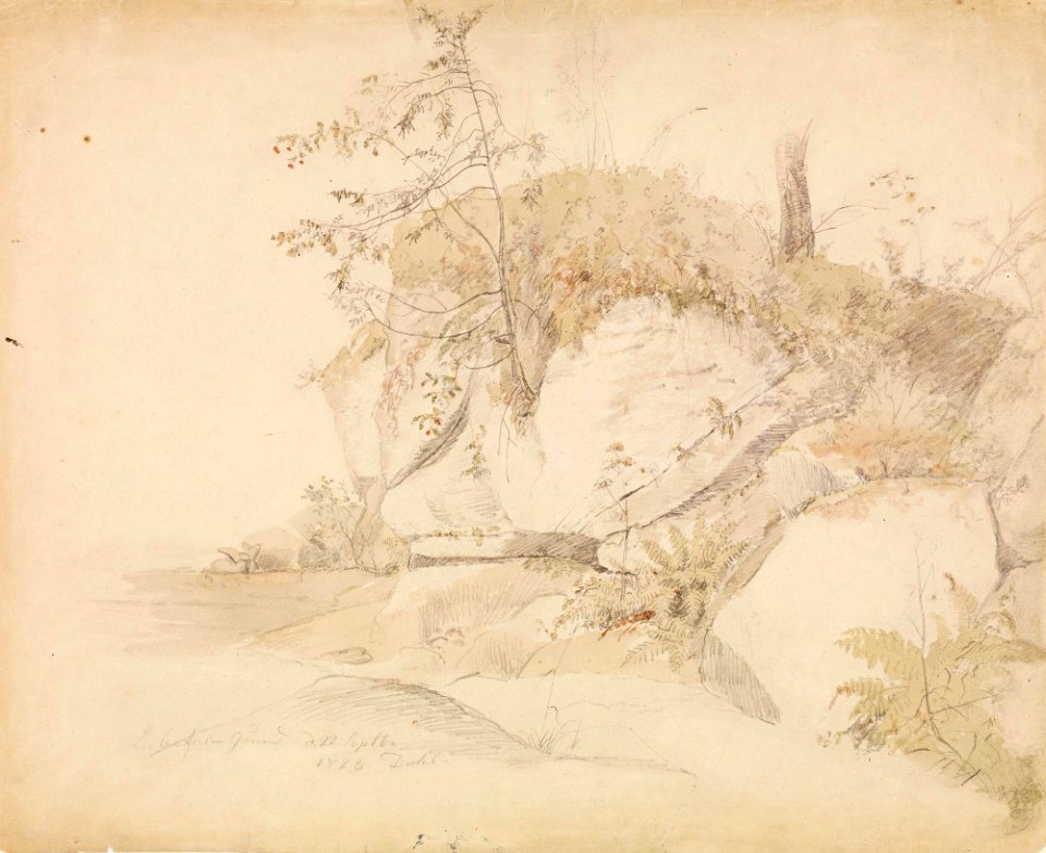 Johan Christian Dahl - Pflanzenstudie - Plantestudie, Liebethaler Grund - Nasjonalmuseet - NG.K&H.B.02579